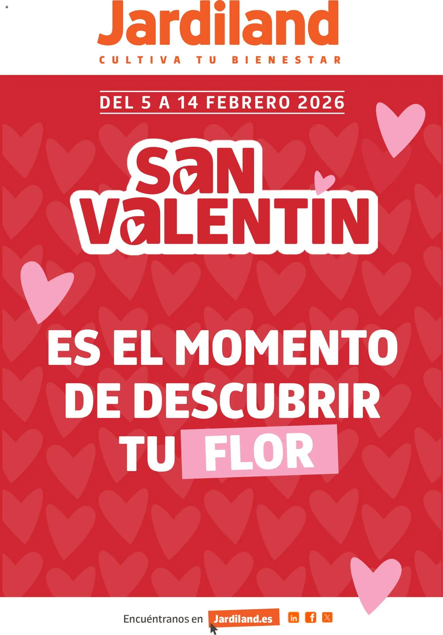 Vista previa del folleto de la tienda Jardiland válido desde el 05/02/2026 