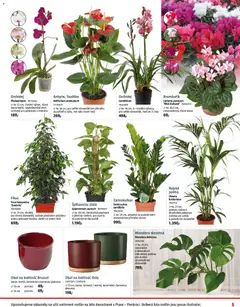 Náhled nabídky: Bauhaus Leták platný od 31.10.2025 | Strana: 5