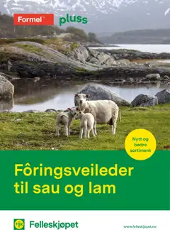 Forhåndsvis Fôringsveileder til sau og lam fra butikk Felleskjøpet gyldig fra 01/01/2025