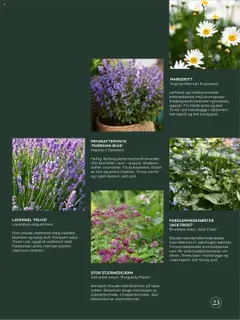 Forhåndsvis Kundeavis fra butikk Plantasjen gyldig fra 25/07/2025 | Side: 23