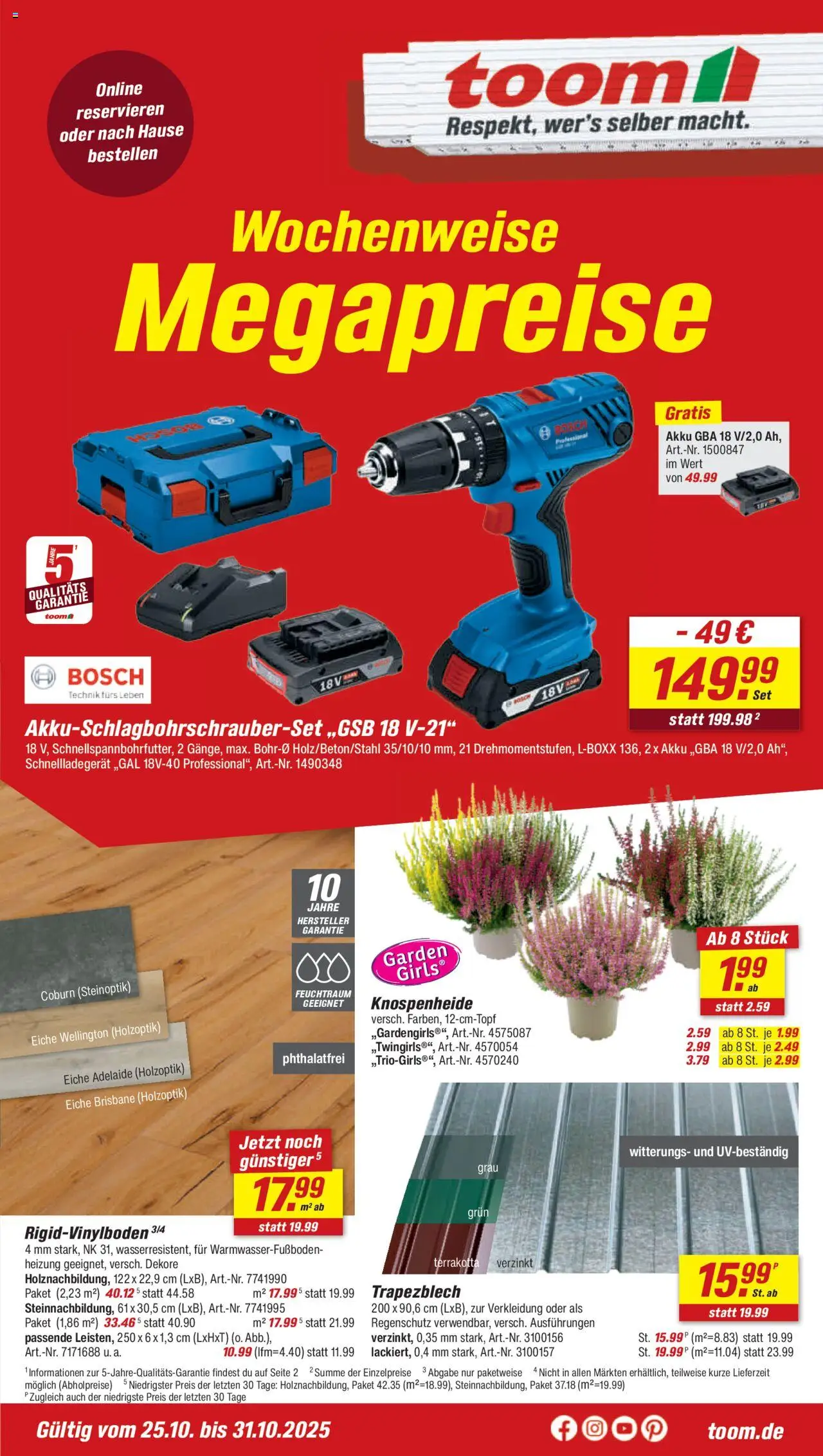 Toom Baumarkt Prospekt (vom 27.10.2025 - 02.11.2025)