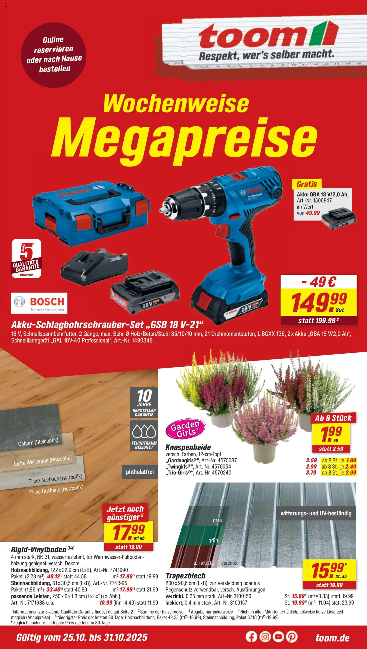 Toom Baumarkt Prospekt (vom 25.10.2025 - 31.10.2025)