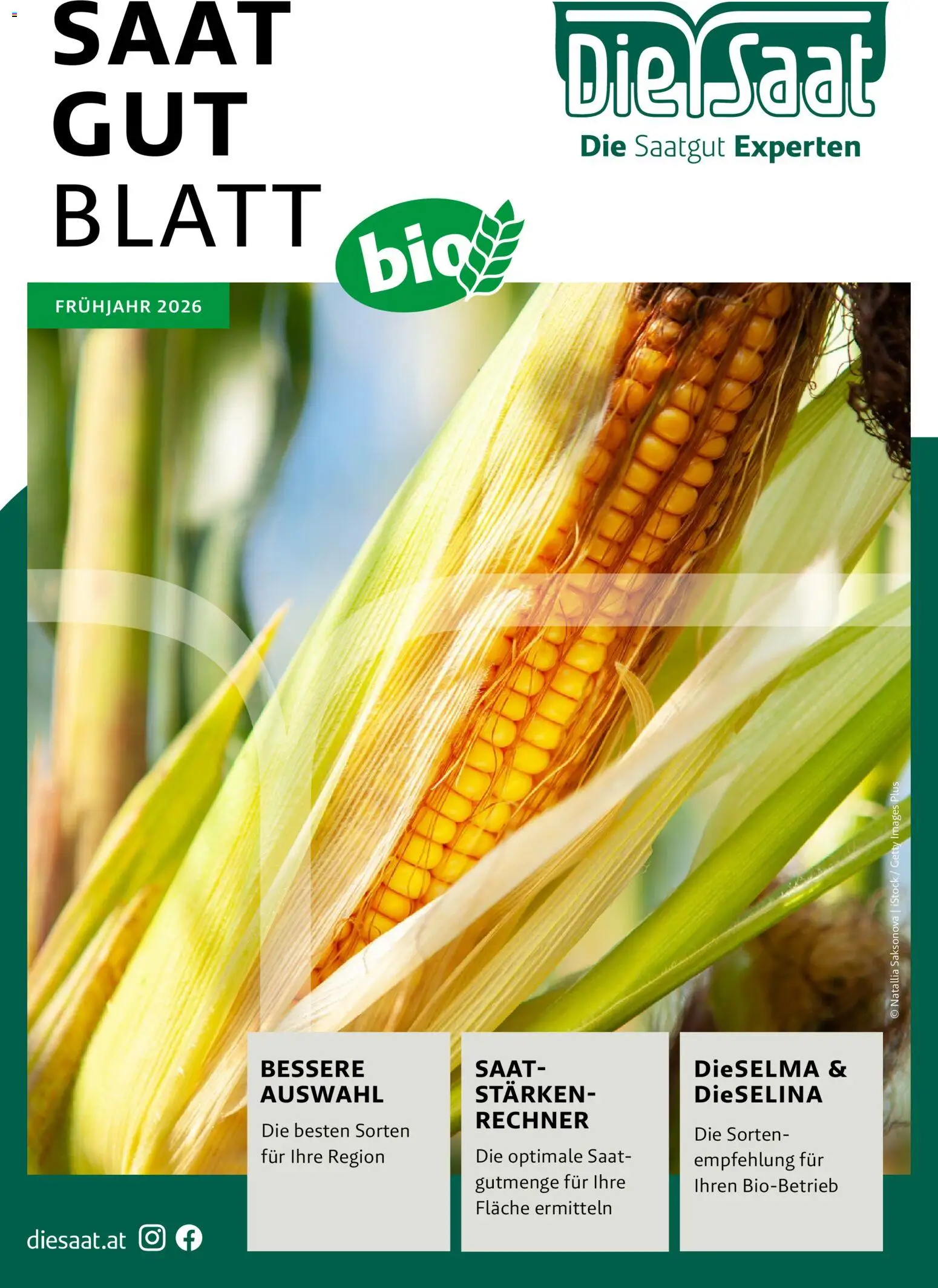 Vorschau der Angebote: Lagerhaus Frühjahr 2026 gültig ab 01.03.2026