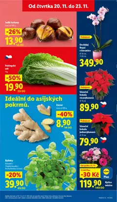 Náhled nabídky: Lidl Black Friday platný od 20.11.2025 | Strana: 11