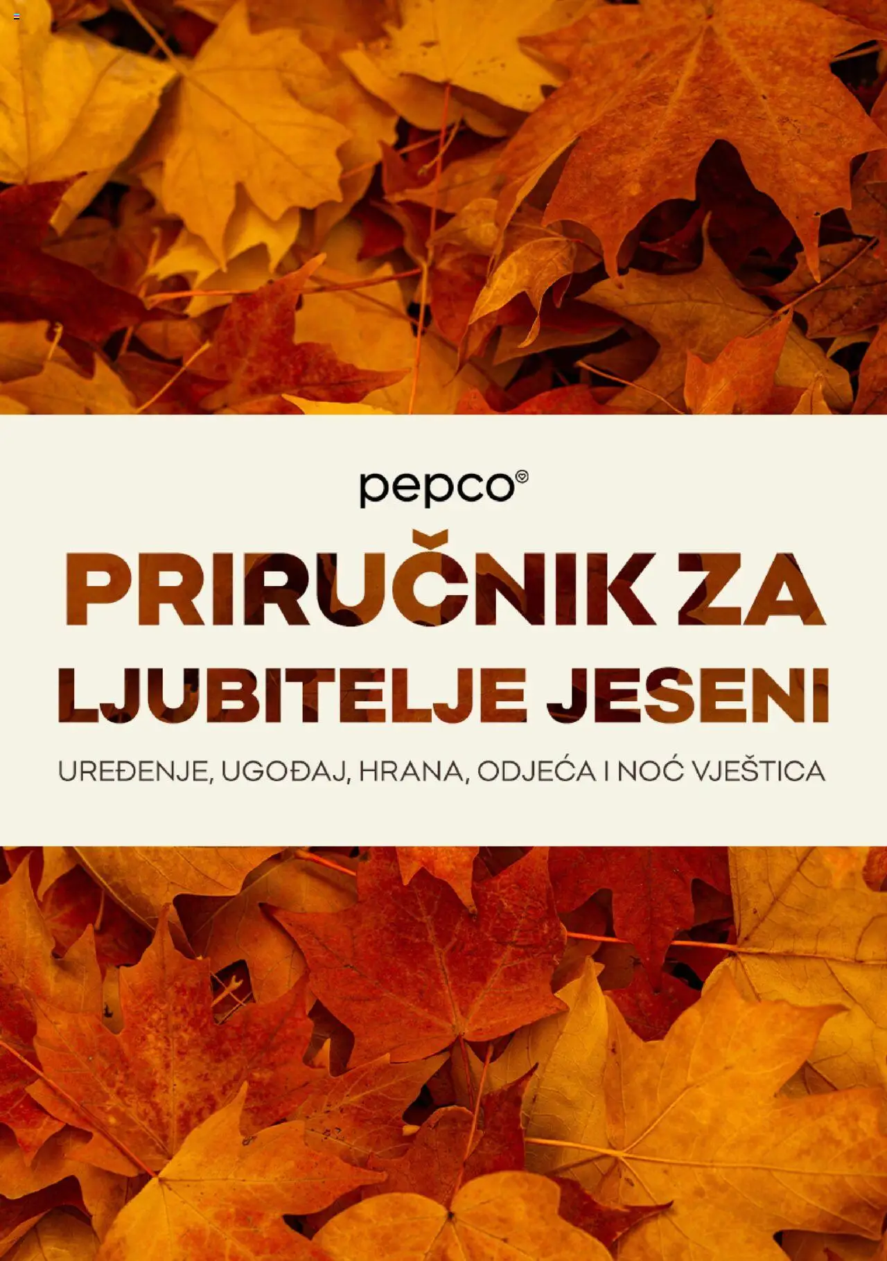 Pregled letka Katalog trgovine Pepco vrijedi od 2025.10.01