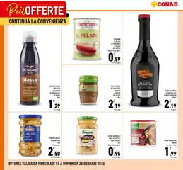 Anteprima dell'opuscolo Volantino Più Offerte Campania dal negozio Conad valido da 14/01/2026