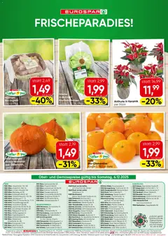 Vorschau der Angebote: Eurospar Flugblatt gültig ab 04.12.2025 | Seite: 16