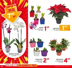 Voorbeeld van Folder van winkel Trafic geldig vanaf 19/11/2025 | Pagina: 18