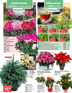 Predogled kataloga iz trgovine Bauhaus veljaven od 06.11.2025 | Stran: 2