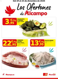 Vista previa del folleto de la tienda Alcampo válido desde el 19/12/2025 