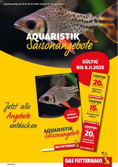 Vorschau von dem Prospekt des Geschäftes Entdecke, gültig ab dem 24.10.2025