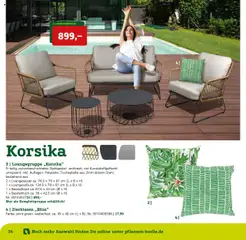 Vorschau von dem Prospekt des Geschäftes Pflanzen-Kölle, gültig ab dem 22.01.2025 | Seite: 24