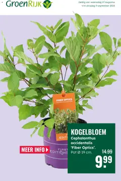 Voorbeeld van Folder van winkel GroenRijk geldig vanaf 27-08-2025