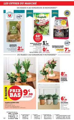 Prévisualisation de Catalogue du magasin Hyper U formulaire valide 04/11/2025 | Page: 42