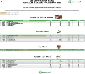 Prévisualisation de Promocash Opportunités Marée du magasin Promocash formulaire valide 03/03/2026