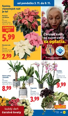 Náhľad Lidl letáku platného od 03.11.2025 | Strana: 46