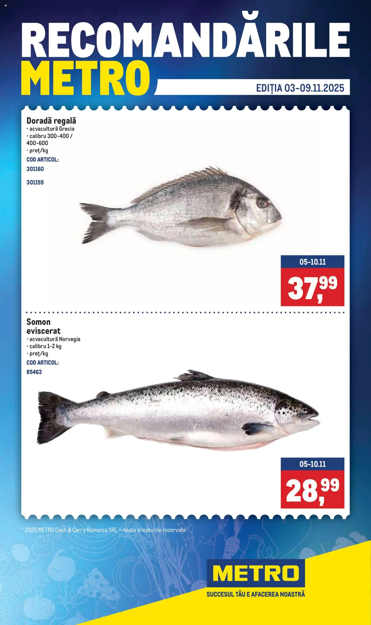 Previzualizarea de cataloage: Metro Catalog nou valabil de la 03.11.2025