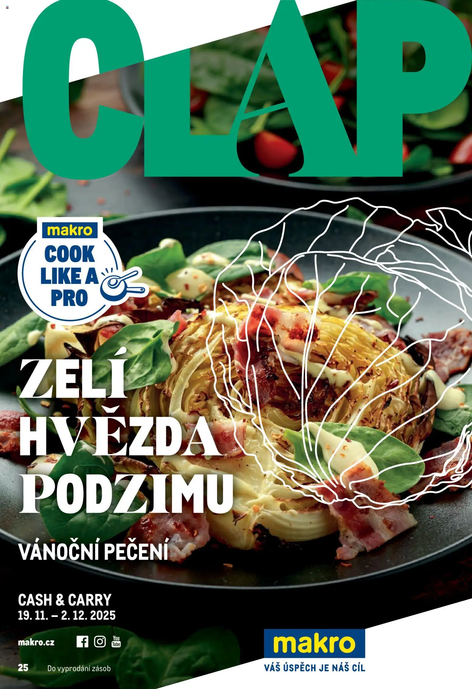Náhled nabídky: Makro Leták - Pro milovníky jídla platný od 19.11.2025