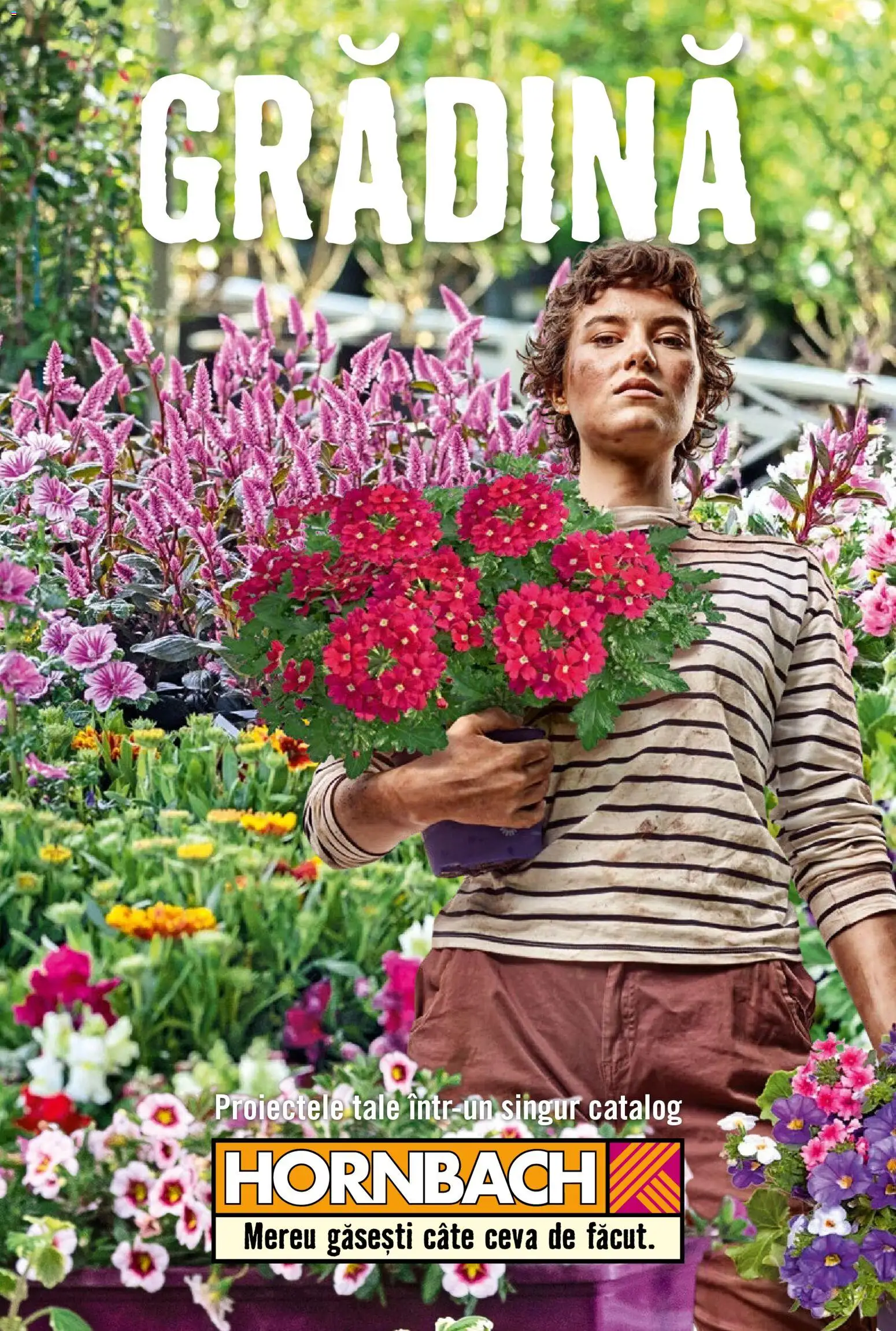 Previzualizarea de cataloage: Hornbach Hornbach Catalog valabil de la 23.03.2026