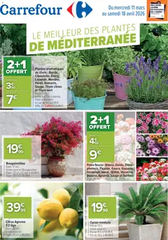 Prévisualisation de Carrefour Le meilleur des plantes de méditerranée du magasin Carrefour formulaire valide 11/03/2026