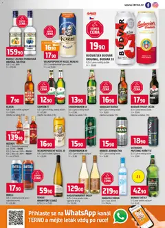 Náhled nabídky: Terno Leták platný od 19.11.2025 | Strana: 13