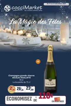 Prévisualisation de Market du magasin Coccinelle formulaire valide 17/12/2025