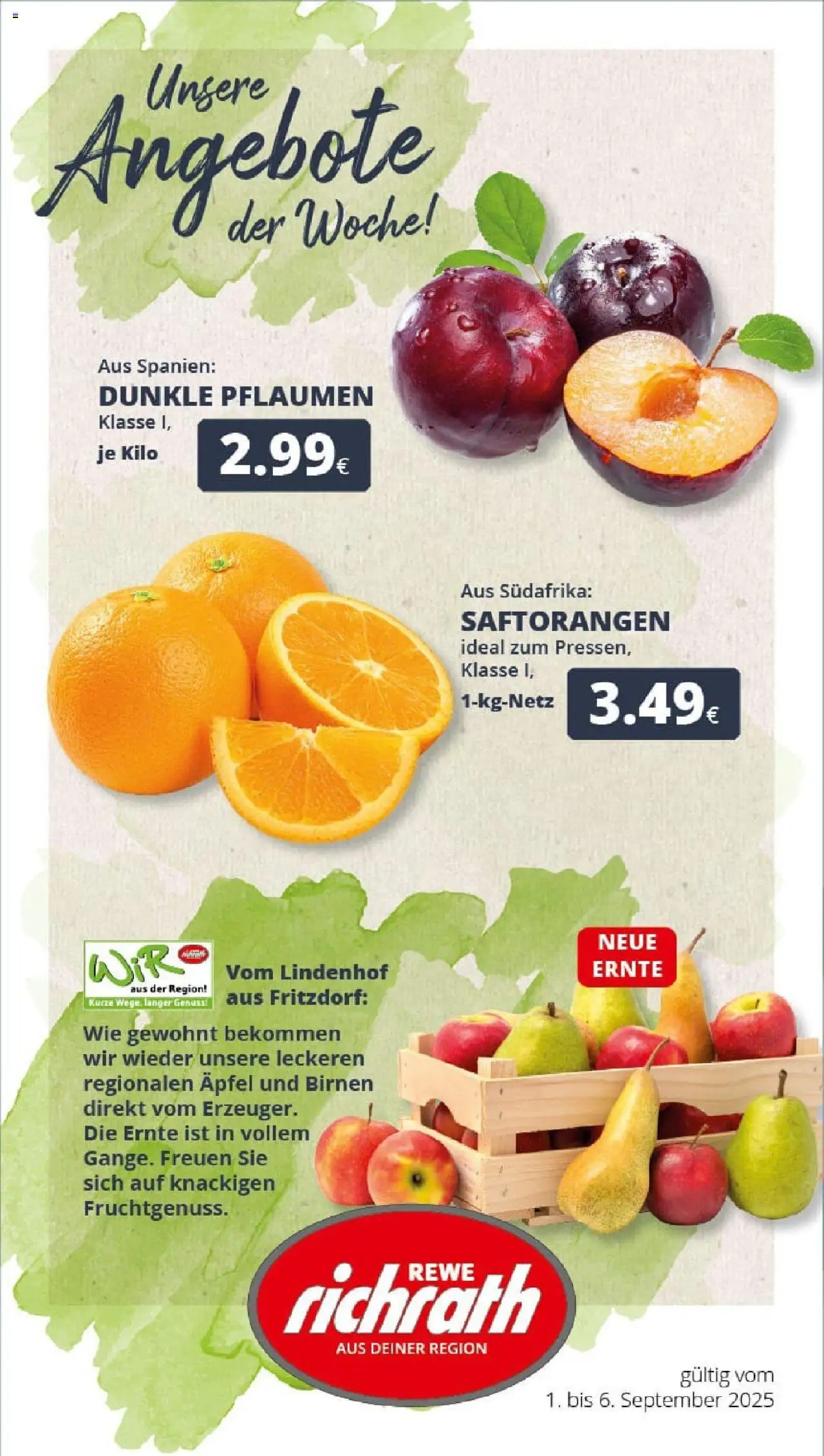 REWE Prospekt ab 01.09.2025 nächste Woche - Prospekt Bergheim	