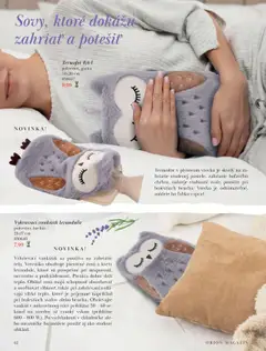 Náhľad Orion letáku platného od 25.09.2025 | Strana: 62