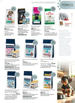 Vista previa del folleto de la tienda El Corte Inglés válido desde el 01/11/2025 | Página: 3