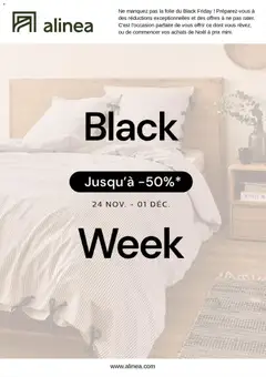 Prévisualisation de Black Friday du magasin Alinéa formulaire valide 24/11/2025