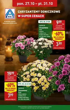 Pogląd gazetki "Chryzantemy doniczkowe" ze sklepu Aldi ważnej od 27.10.2025