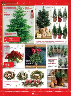 Náhled nabídky: Uni Hobby Leták platný od 27.11.2025 | Strana: 2