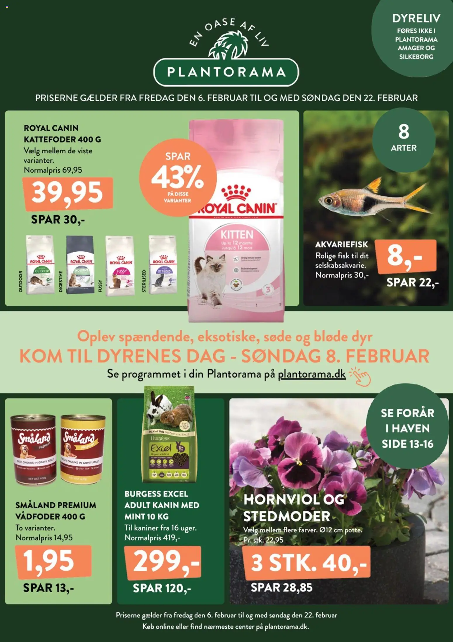 Eksempel på tilbudsavis Dyrenes dage fra butik Plantorama gyldig fra 06/02/2026
