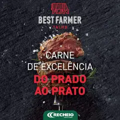 Pré-visualização do folheto da loja Recheio válida a partir de 19/09/2024