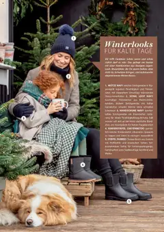 Vorschau von dem Prospekt des Geschäftes Dehner, gültig ab dem 09.10.2025 | Seite: 27