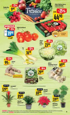 Náhled nabídky: Albert Black Friday platný od 12.11.2025 | Strana: 16