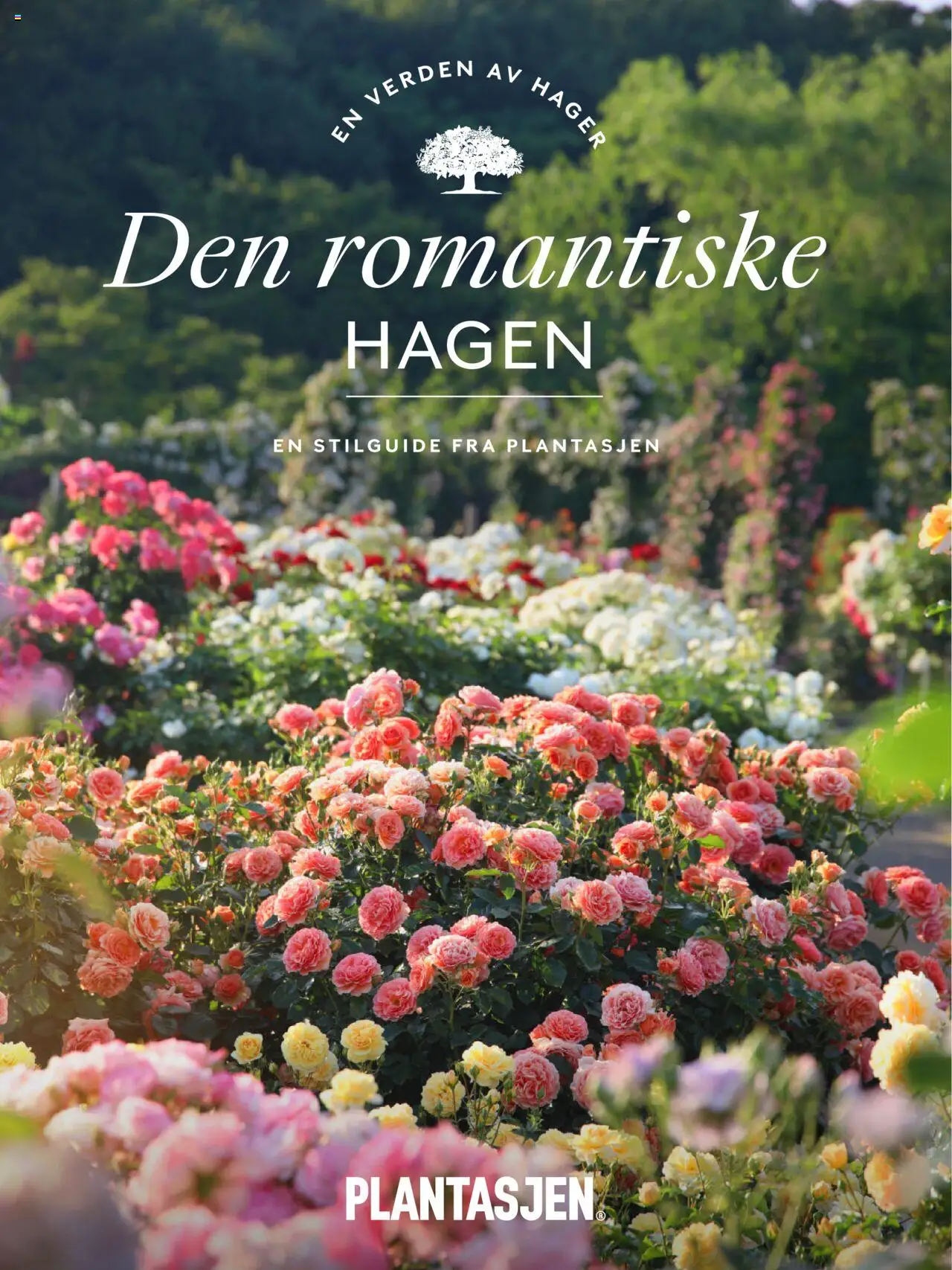 Kundeavis Plantasjen gyldig fra 25/07/2025 - Sidenummer 1