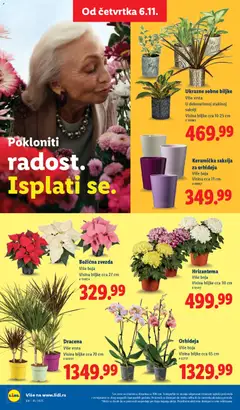 Pregled Lidl kataloga - važi od 06.11.2025 | Strana: 42
