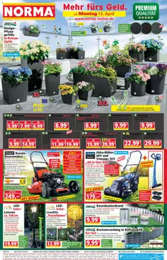 Vorschau von dem Prospekt des Geschäftes Norma, gültig ab dem 13.04.2026