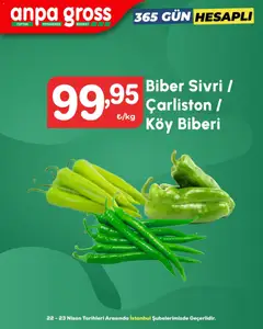 Anpa Gross Anpa Gross İndirim 22.04.2026 - Broşürünün önizlemesi