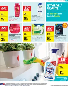 Prévisualisation de Catalogue de la semaine 45 du magasin Carrefour Market formulaire valide 04/11/2025 | Page: 13
