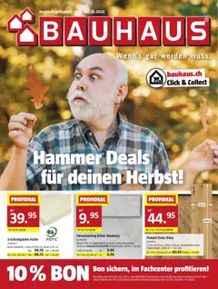 Vorschau des Merkblatts Aktionen vom Shop Bauhaus gültig von 29.09.2025 bis 26.10.2025