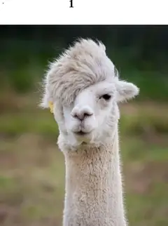 Náhľad Atest, s.r.o. letáku platného od 02.06.2025