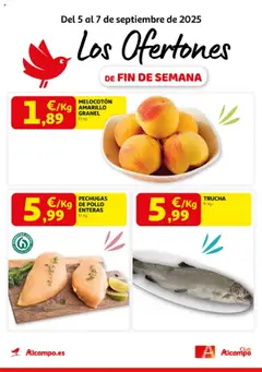 Vista previa del folleto de la tienda Alcampo válido desde el 05/09/2025 