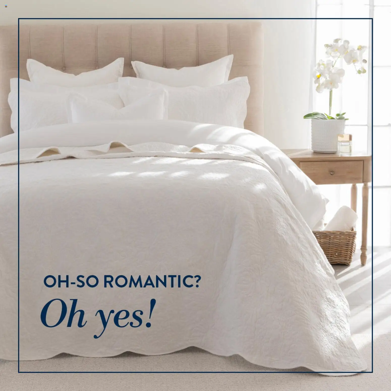 Preview of Volpes flyer valid from 20/02/2026