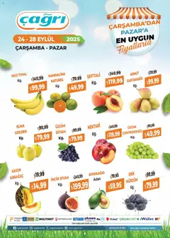Çağrı Market Manav Katalog 24.09.2025 - Broşürünün önizlemesi