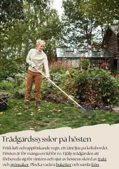 Förhandsgranska reklamblad Aktuella reklamblad Plantagen från butik Plantagen gäller från 27/10/2025 | Sida : 5