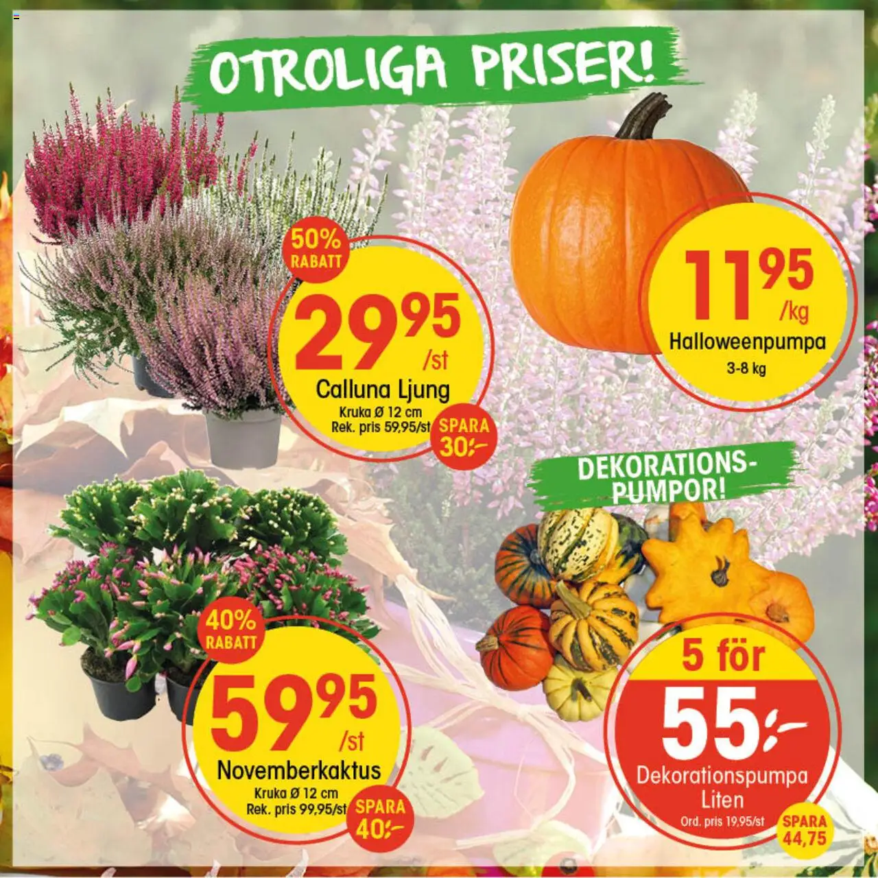 Aktuella reklamblad EKO är giltig 13/10 2025 > Veckans Erbjudanden gäller från 13/10/2025 till 19/10/2025 sidnummer 1