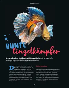 Vorschau der Angebote: Fressnapf Friends 06/25 gültig ab 01.11.2025 | Seite: 28