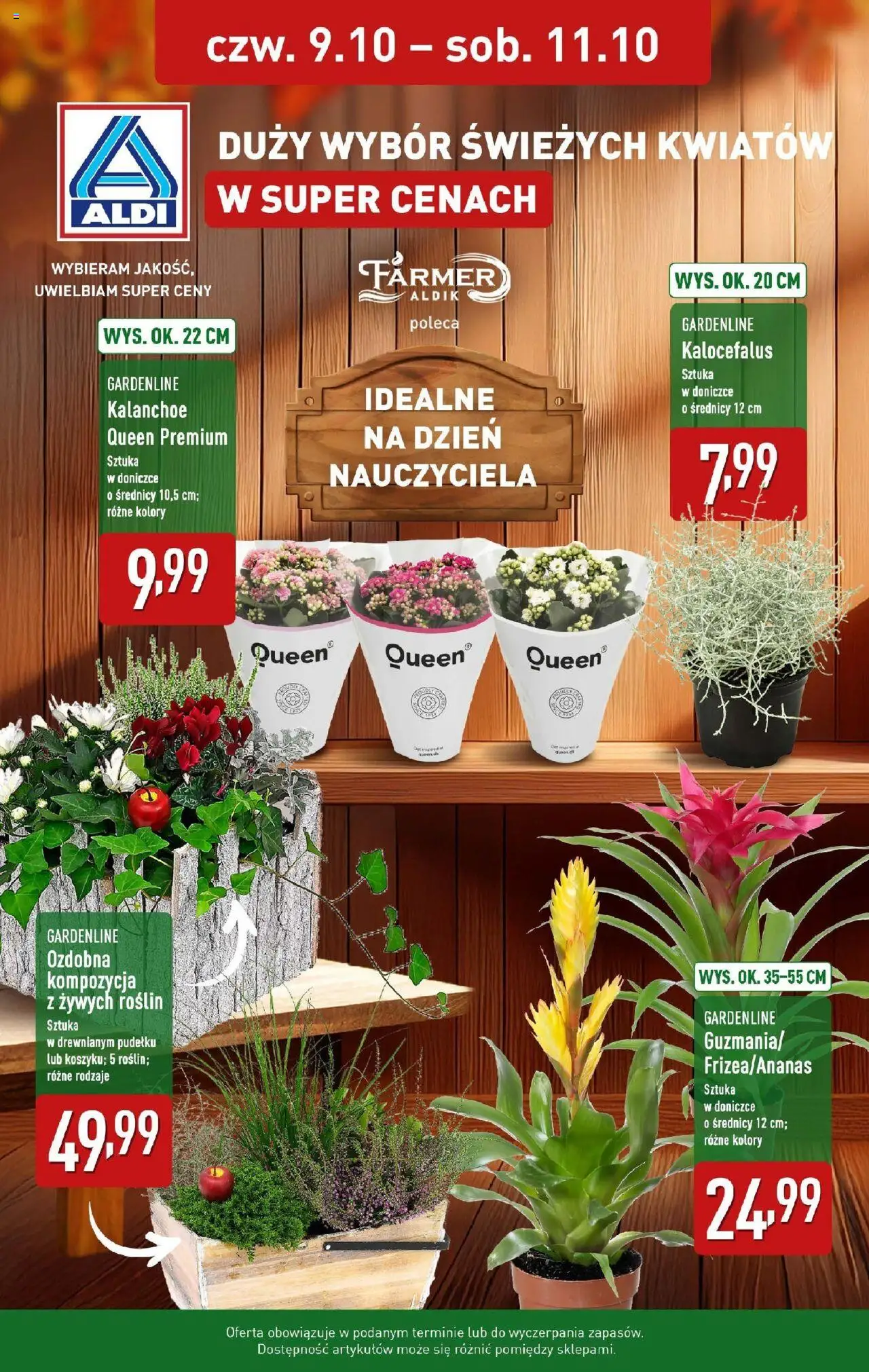 Aldi Kwiaty na Dzień Nauczyciela od 09.10.2025 - Nowa Gazetka - Numer strony 1